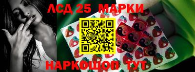 меф Кингисепп