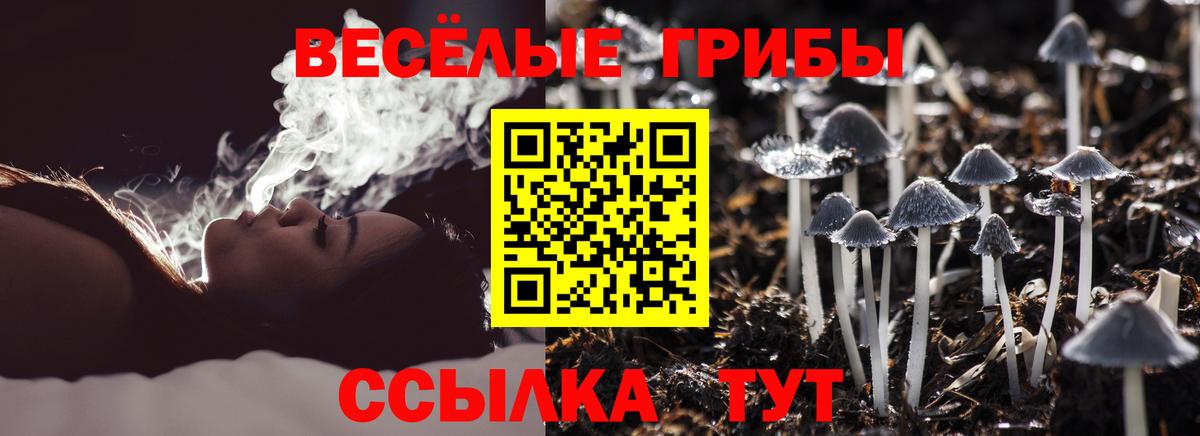 Псилоцибиновые грибы мухоморы Лениногорск
